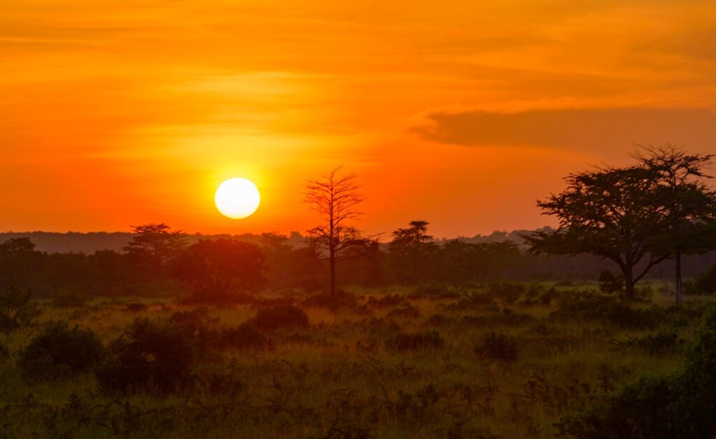 Picturesque sunset in Tanzania Africa